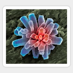 Calcium phosphate crystal, SEM (A600/0865) Sticker